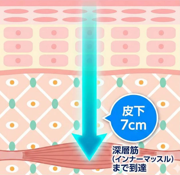 インナーマッスルへの刺激イメージ